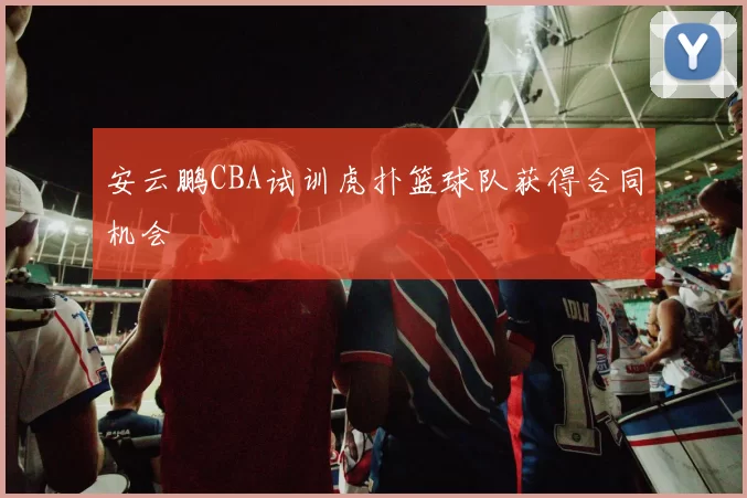 安云鹏CBA试训虎扑篮球队获得合同机会