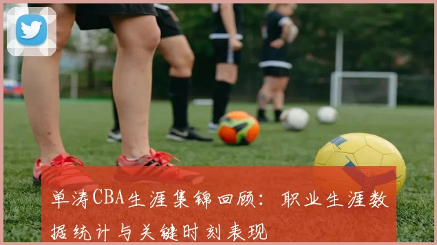 单涛CBA生涯集锦回顾:职业生涯数据统计与关键时刻表现