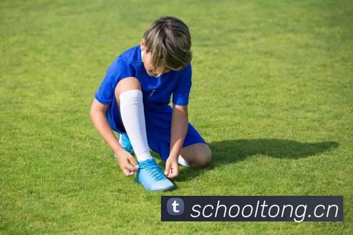 九游j9官网首页进入发展历程